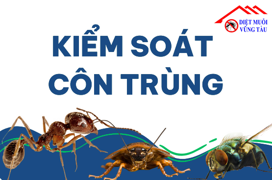 Dịch vụ diệt côn trùng